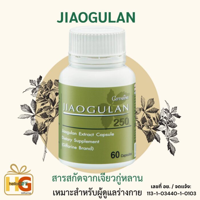 jiaogulan giffarine เจียวกู่หลาน 250 ผลิตภัณฑ์เสริมอาหาร สารสกัดจากเจียวกู่หลาน ชนิดแคปซูล