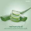 snow_lotus_2 สโนว์ โลตัส อโล บอดี้ เจล : เจลบำรุงผิวกายจากสารสกัดบัวหิมะ และว่านหางจระเข้