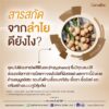 longan_propolis_mouth_spray_giffarine_2 ลองแกน แอนด์ โพรโพลิส รีเฟรชชิ่ง เม้าท์ สเปรย์