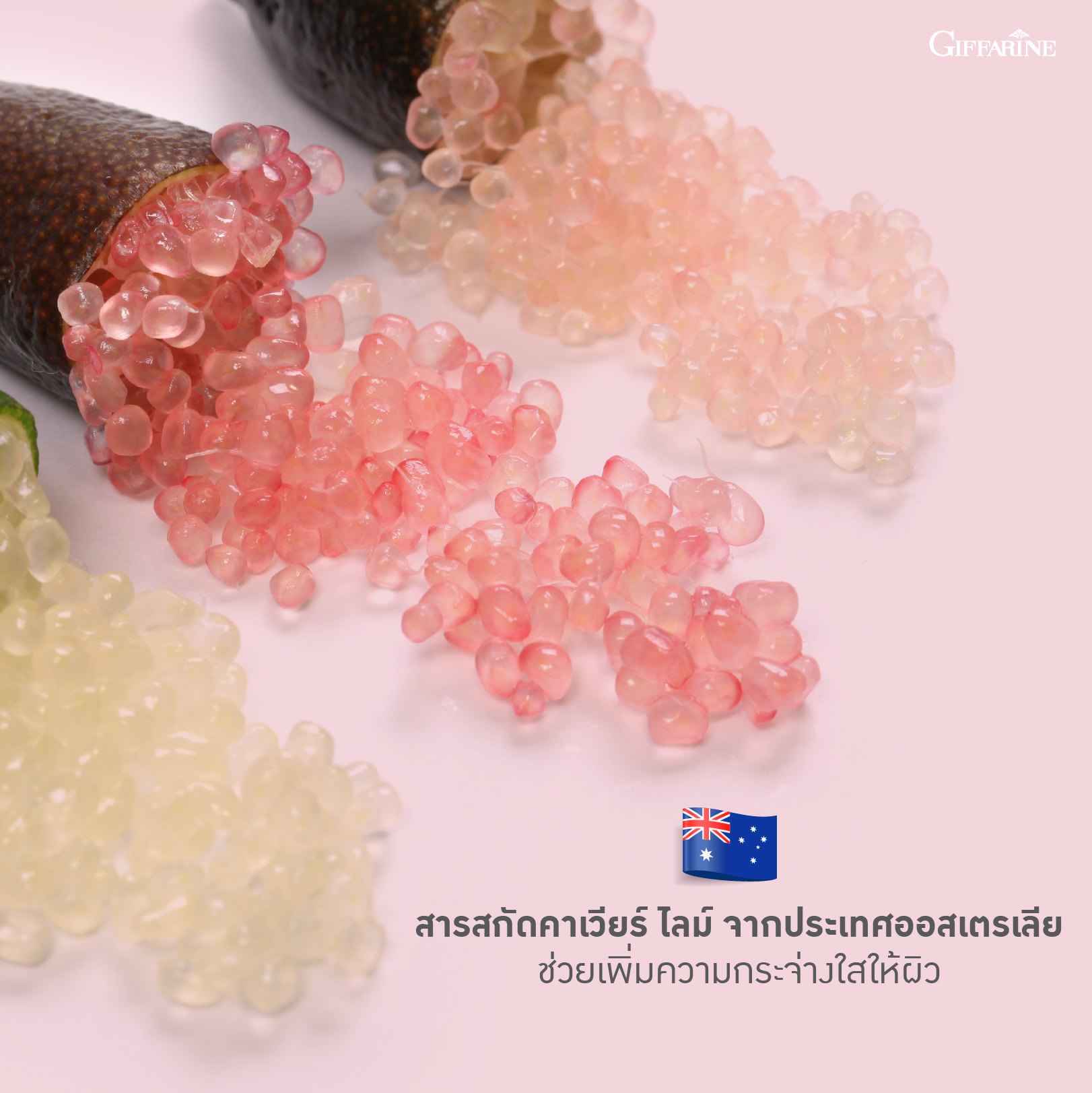 กิฟฟารีน ไฮยา อินเทนซีฟ ไวท์เทนนิ่ง พรี-ซีรั่ม - Image 4