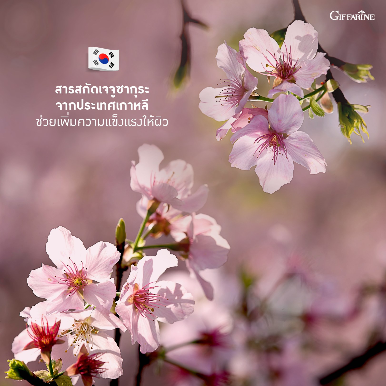 กิฟฟารีน ไฮยา อินเทนซีฟ ไวท์เทนนิ่ง พรี-ซีรั่ม - Image 5